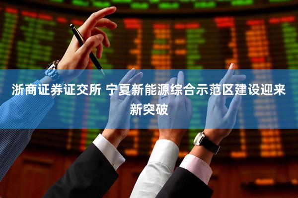 浙商证券证交所 宁夏新能源综合示范区建设迎来新突破