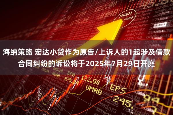 海纳策略 宏达小贷作为原告/上诉人的1起涉及借款合同纠纷的诉讼将于2025年7月29日开庭