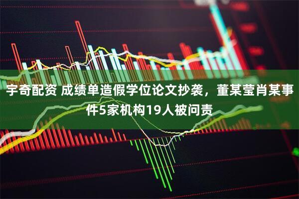 宇奇配资 成绩单造假学位论文抄袭，董某莹肖某事件5家机构19人被问责