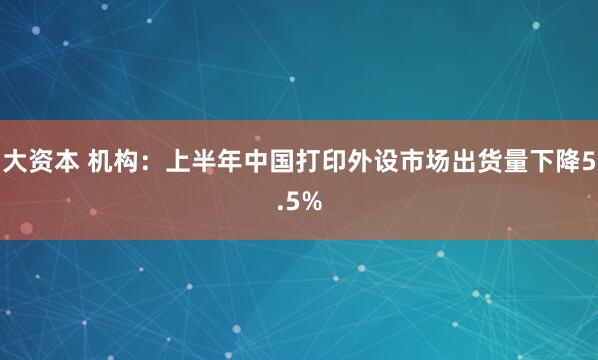 大资本 机构：上半年中国打印外设市场出货量下降5.5%