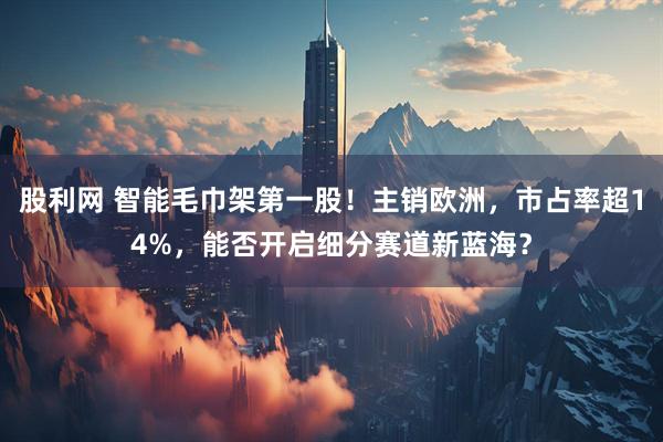 股利网 智能毛巾架第一股！主销欧洲，市占率超14%，能否开启细分赛道新蓝海？