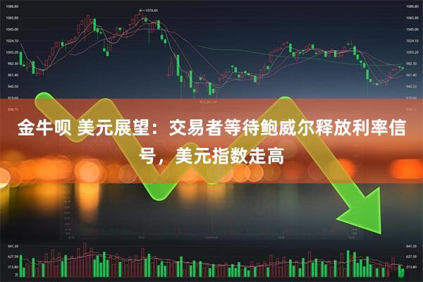 金牛呗 美元展望：交易者等待鲍威尔释放利率信号，美元指数走高