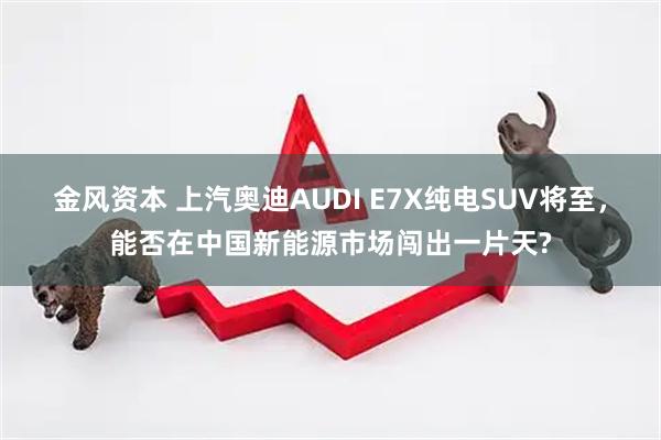 金风资本 上汽奥迪AUDI E7X纯电SUV将至，能否在中国新能源市场闯出一片天?
