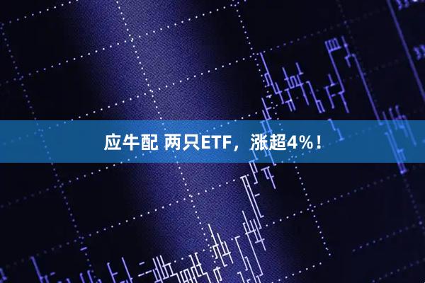 应牛配 两只ETF，涨超4%！